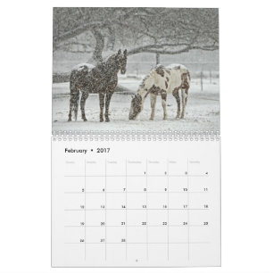 Hästkalender Kalender