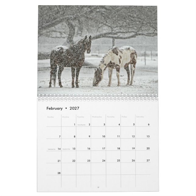 Hästkalender Kalender (Feb 2027)