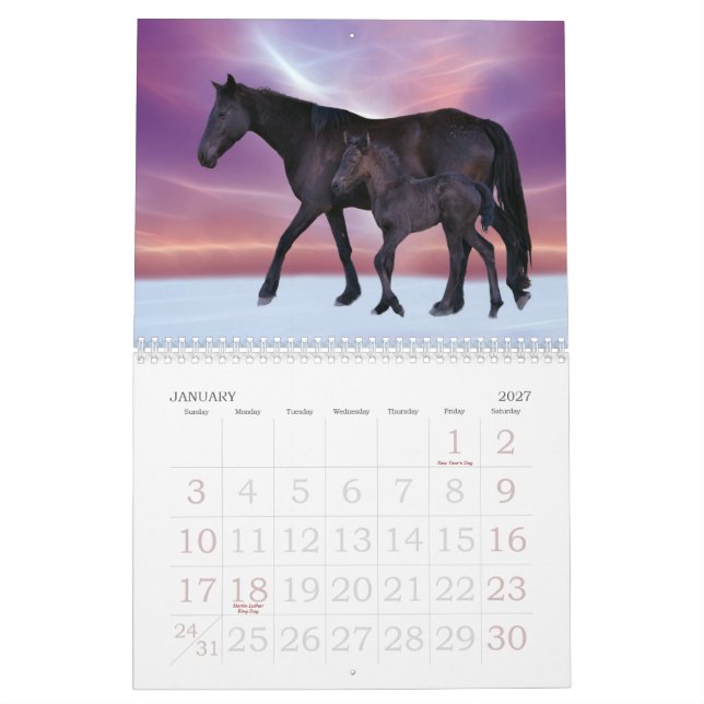 Hästkalender Kalender (Jan 2027)