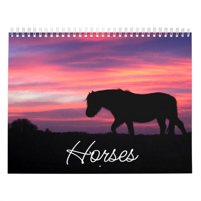 Hästkalender Kalender (Omslag)