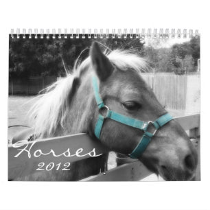 Hästkalender Kalender