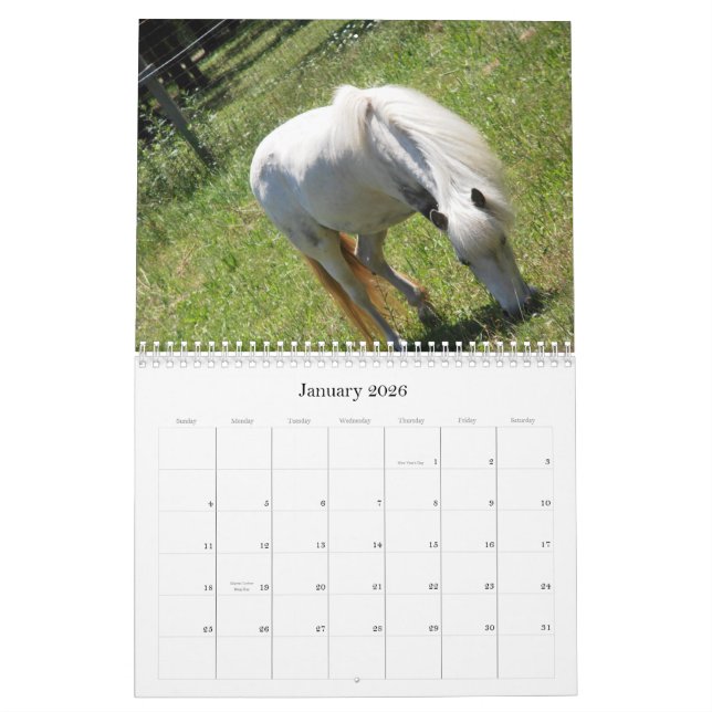 Hästkalender Kalender (Jan 2026)