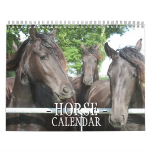 Hästkalender Kalender
