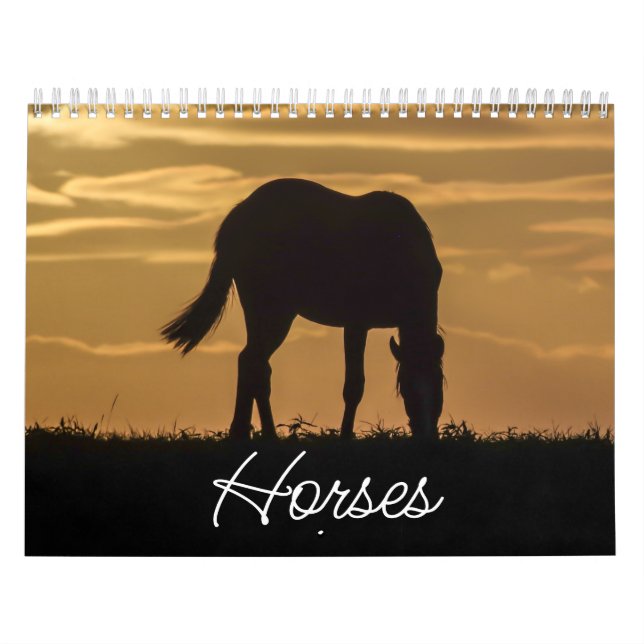 Hästkalender Kalender (Omslag)