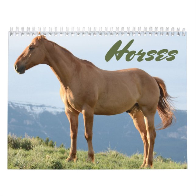 Hästkalender Kalender (Omslag)