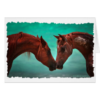 Hästkärlek Hälsningskort