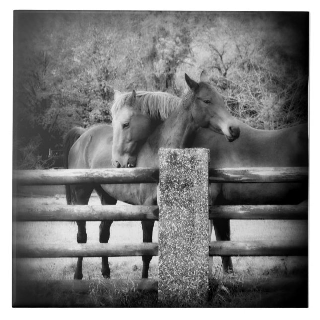 Hästkärlek - para av hästar, i att älska omfamning kakelplatta (Framsidan)