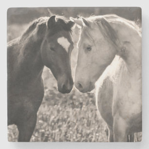 Hästkärlek Underlägg Sten