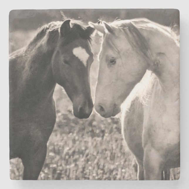 Hästkärlek Underlägg Sten (Framsidan)