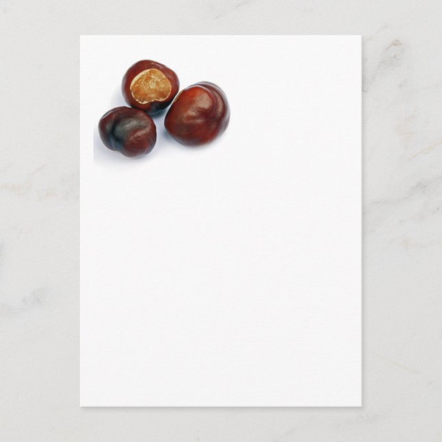 hästkastare vykort (Framsida)