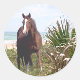 Hästklistermärkestrand Runt Klistermärke