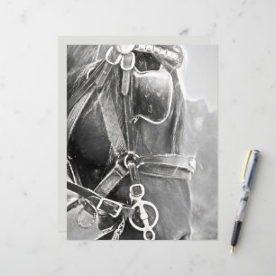 Hästkonst av Western, rustisk, svart och vit Vinta