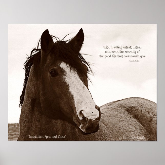 Hästkonst Poster med inspirationsoffert 11 x 14 (Framsidan)
