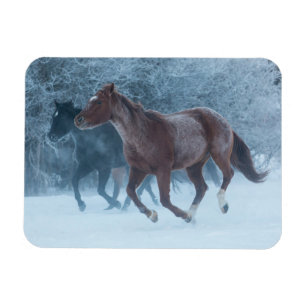 Hästkörning Magnet