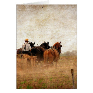 Hästkraftsarbete i Fält Hälsningskort