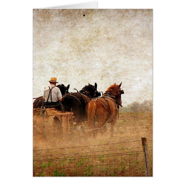 Hästkraftsarbete i Fält Hälsningskort (Framsidan)