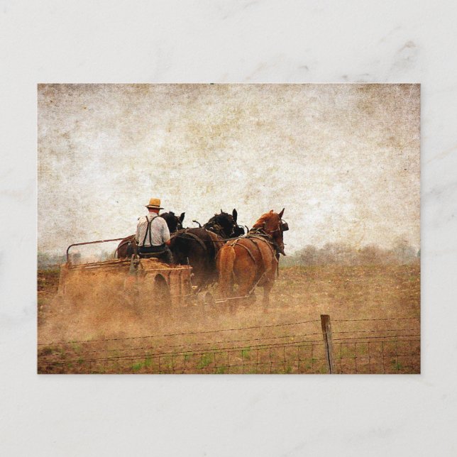 Hästkraftsarbete i Fält Vykort (Framsida)