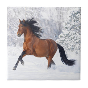 Hästlek i snön kakelplatta