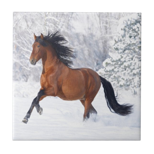 Hästlek i snön kakelplatta (Framsidan)
