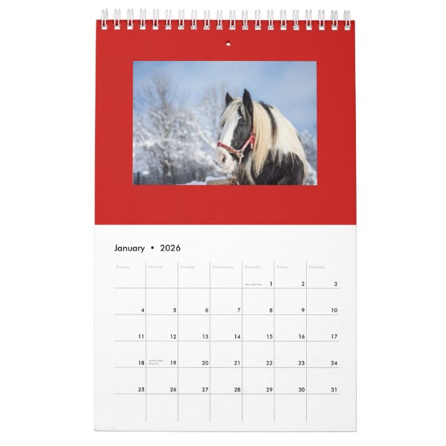 HÄSTMÅNADSTIDNING SOM PLANERAR KALENDERN KALENDER (Jan 2026)