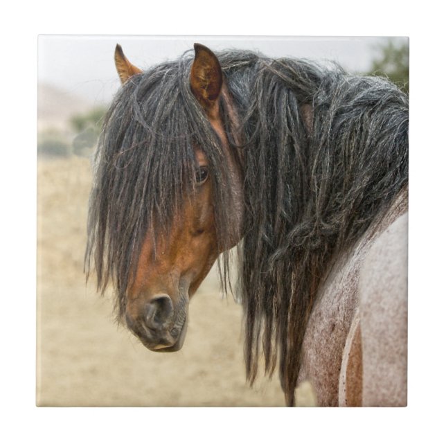 HästMane Kakelplatta (Framsidan)