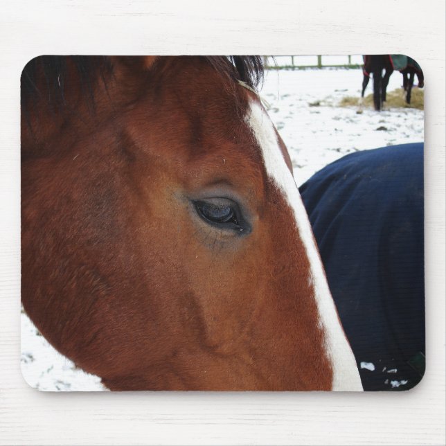 Hästmousemat Musmatta (Framsidan)