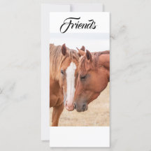 Hästmunstycke på bete