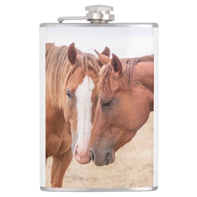 Hästmunstycke på betesmark fickplunta (Framsidan)