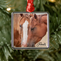 Hästmunstycke på betesmark