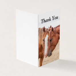 Hästmunstycke på betesmark kort