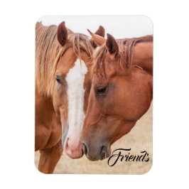 Hästmunstycke på betesmark magnet