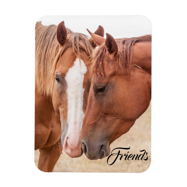 Hästmunstycke på betesmark magnet (Vertikal)