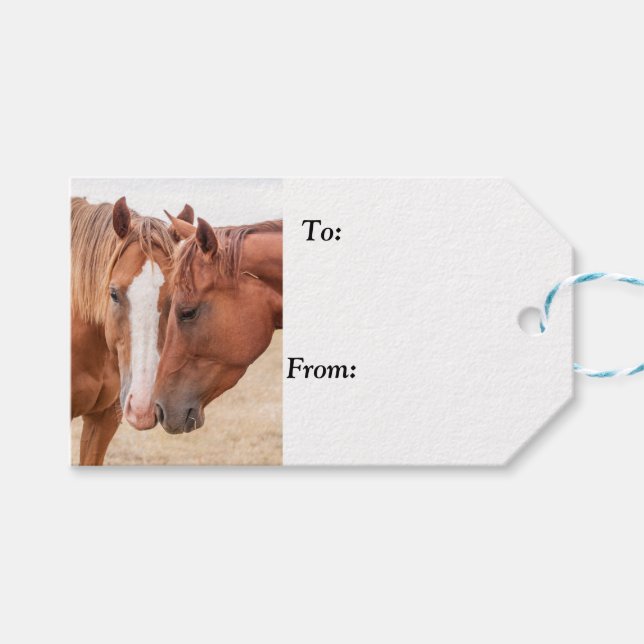 Hästmunstycke på betesmark presentetikett (Framsidan (Horisontell))