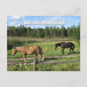Hästning på den finska landsbygden vykort