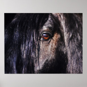 Hästöga Poster