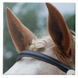 hästöron kakelplatta