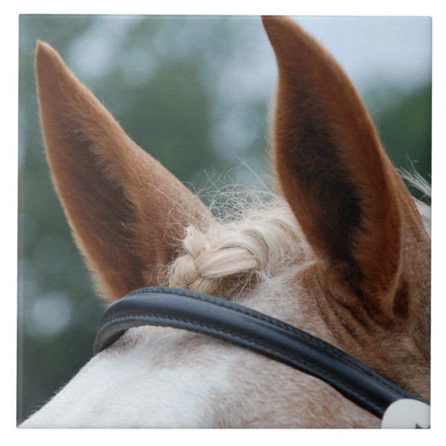 hästöron kakelplatta (Framsidan)