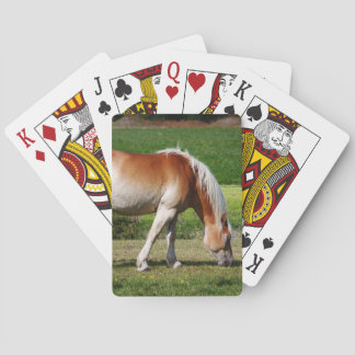 Hästporträtt Casinokort