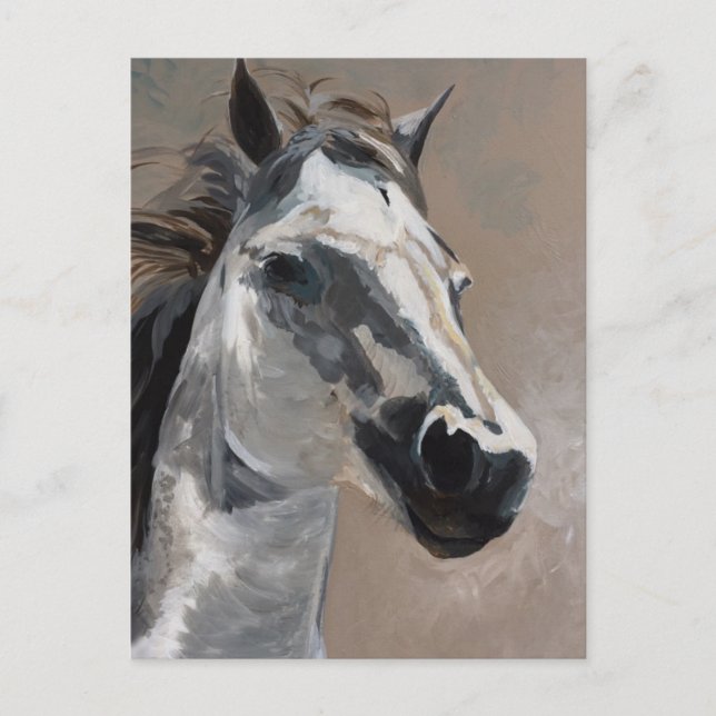 Hästpostkort Vykort (Framsida)