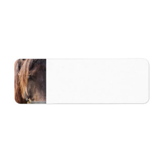 Hästreturetiketter Returadress Etikett