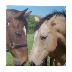 Hästromantik belägger med tegel kakelplatta