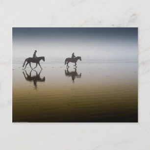 Hästryttare på stranden vykort