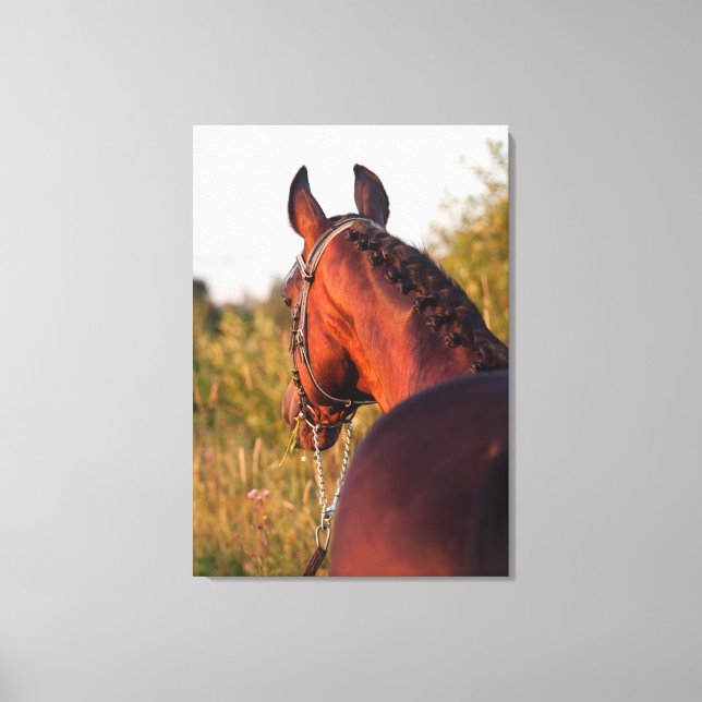 hästsamling. canvastryck (Framsida)