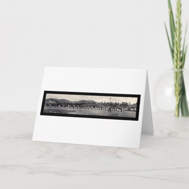 HästSanta Anita foto 1908 Helgkort (Framsida)