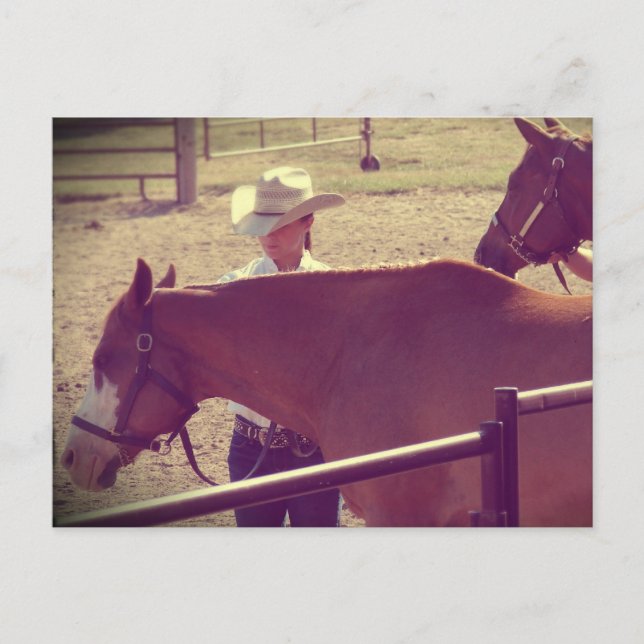 Hästshowmanér Vykort (Framsida)