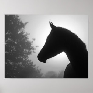 Hästsilhouette i svartvitt poster