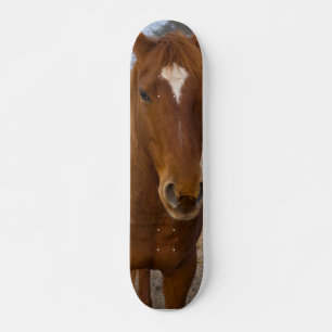 Hästskateboard Mini Skateboard Bräda 18,5 Cm