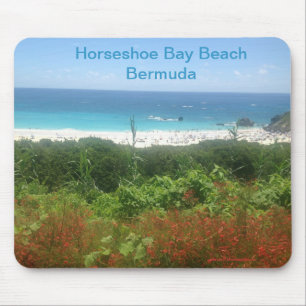 Hästsko Bay Beach, Bermuda Musmatta