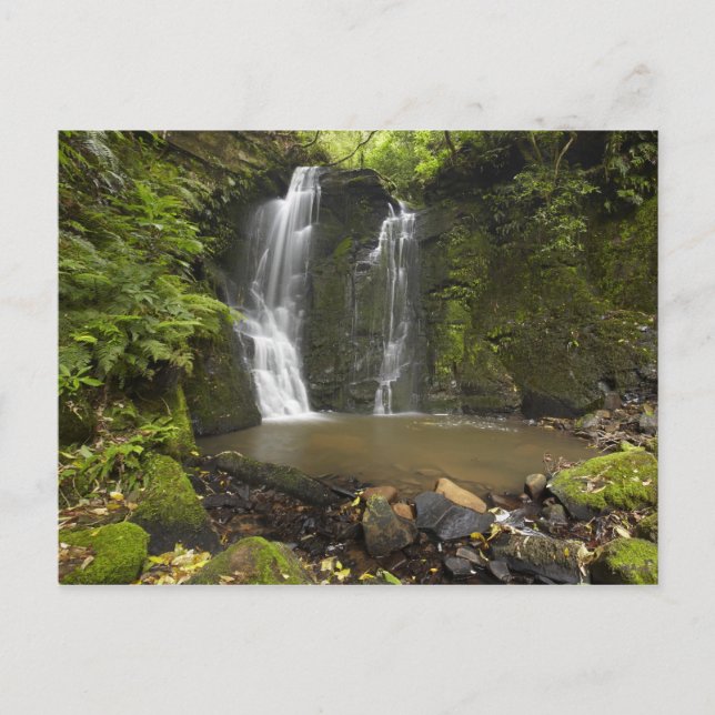 Hästsko Falls, Matai Falls Vykort (Framsida)