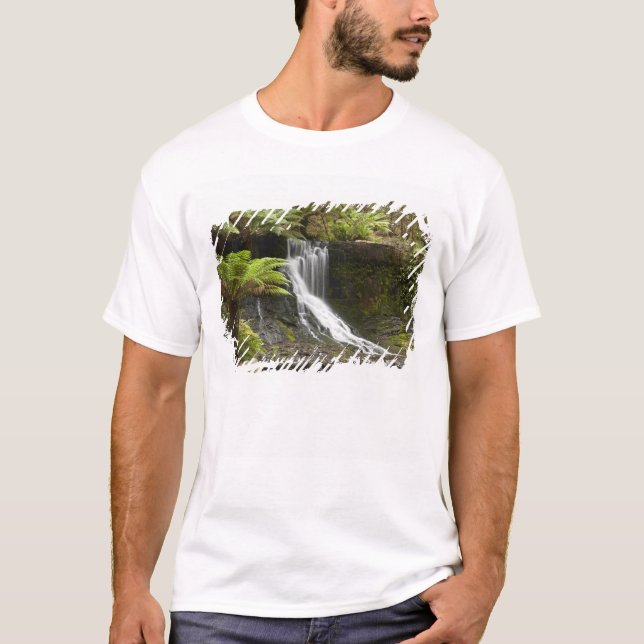 Hästskofallen, Mount Field Nationalpark, Tee (Framsida)